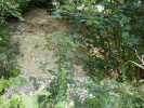 Odkryté sedimenty svrchní křídy v malém lomu na lokalitě Kněžnice. Foto M. Košťák 
