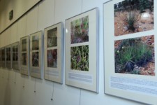 Vernisáž výstavy fotografií Masožravé rostliny a jejich biotopy. Foto z archivu redakce