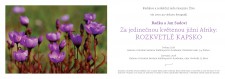 Pozvánka na výstavu Radky a Jana Sudových: Za jedinečnou květenou jižní Afriky: Rozkvetlé Kapsko 