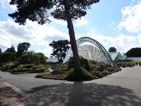 Kew Gardens. Foto Martin Spousta