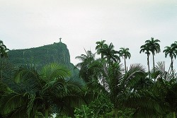 Nejkrásnější pohled na horu Corcovado se sochou Cristo Redentor se naskýtá z Botanické zahrady Rio de Janeiro. Foto M. Studnička