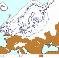 Mapa zalednění Evropy (hnědě nezaledněná část pevniny, plná modrá čára značí hranici posledního zalednění a přerušovaná modrá je odhad mocnosti ledovce). Podle P. Woldsteda (1958) kreslil S. Holeček / From P. Woldsted (1958)