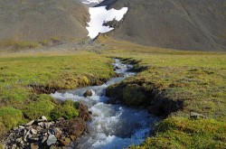 V létě je krajina na Svalbardu místy zásobována vodou z tajících sněžníků. Foto M. Devetter