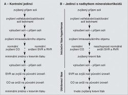 Teorie úlohy systémové vaskulární rezistence (SVR) při vzniku hypertenze závislé na soli a mineralokortikoidech. Podle této teorie (B) zvýšený příjem soli je spojen se zvýšenou retencí soli  a přechodným zvýšením srdečního  výdeje (CO) a současně s neschopností reagovat rozšířením cév a snížit  systémovou vaskulární rezistenci včetně renální vaskulární rezistence (RVR).  Zvýšený krevní tlak vede ke zvýšenému vylučování soli, avšak toto vyloučení sodíkových iontů močí (tlaková natriuréza) není dostatečné, aby vylučování soli bylo rovno jejímu příjmu, protože  u jedinců citlivých k soli je tlaková  natriuréza limitovaná abnormální  (nesníženou) RVR, takže krevní tlak zůstává dále zvýšený. Pravá část obr. (B) také ukazuje, že po iniciaci hypertenze dojde ke snížení CO na původní úroveň a ke zvýšení SVR nad původní úroveň. Zvýšená SVR pak udržuje krevní tlak  na zvýšené úrovni.  U zdravých jedinců (A) zvýšený  příjem soli vyvolá zvýšenou retenci soli a přechodné zvýšení CO, ale nevede ke vzniku hypertenze, protože potenciální účinky zvýšeného CO na krevní tlak  jsou kompenzovány snížením SVR.  Současný pokles RVR přispívá  ke snížení tlaku, protože při poklesu RVR dochází ke zvýšenému vylučování soli ledvinami, až se dosáhne rovnováhy mezi příjmem a výdejem soli.  SVR následně stoupá a CO klesá  na původní úroveň, takže nedojde  ke zvýšení krevního tlaku. Mechanismy, které vedou ke změnám v CO a SVR  po vzniku hypertenze, nejsou zcela objasněny a mohou kromě autoregulace zahrnovat řadu dalších faktorů. Originál M. Pravenec a T. Kurtz