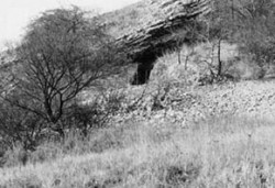 Nálezy malakofauny z výplní jeskyní a převisů umožňují sledovat vývoj biocenóz i v tak extrémních polohách, jako jsou horní hrany údolních svahů nebo vrcholy. Výkop ve vchodu Hlubočepské jeskyně v přírodní rezervaci Prokopské údolí. Foto V. Ložek / © V. Ložek