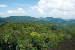Rezervaci Sinharaja tvoří pásmo horských hřebenů dlouhé zhruba 21 km. Snímek J. Májsky