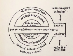 Graf znázorňující v rámci dobového biotypologického paradigmatu prvky ovlivňující zdraví jedince.  Foto: Úkoly sociálně-zdravotní služby před, během a po ukončení nemocniční péče, Československá nemocnice 14, 1946, č. 1–2 (V. Tolar a A. Ripková)