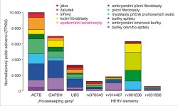 Transkripce některých elementů HERV a „housekeeping genů“ v různých tkáních. Míra transkripce je udávána jako normalizovaný počet sekvencí (FPKM, fragments per kilobase of exon per  million reads mapped). Část dat pochází z volně dostupných archivů SRA (Sequence Read Archives), šlo o vzorky tkání zdravých lidských jedinců zpracované metodami vysoce výkonného sekvenování (High Throughput Sequencing). V ostatních případech jsme použili naše vlastní data, upravená stejným způsobem. Blíže v textu. Orig. M. Famfulíková