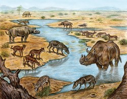 Panoramatický pohled na svrchno­eocenní krajinu Jižní Dakoty. V popředí vlevo sudokopytník rodu Leptomeryx, vpravo malý nosorožec rodu Hyracodon, dále napravo titanotérium rodu  Megacerops, za ním stádo oreodontů rodu Merycoidodon a ještě dále  entelodon rodu Archaeotherium.  Vlevo trojice tříprstých koní rodu Mesohippus, vpravo od nich hyrakodon,  za nimi pak větší nosorožec rodu Caenopus. Vzadu vlevo vidíme prašelmu rodu  Hyaenodon a v dálce jako úplně poslední je zachyceno ještě jedno titanotérium. Kresba M. Chumchalová 