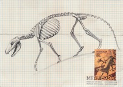 Tematická pohlednice vydaná
v r. 2008 australskou poštou ze série věnované vyhynulé australské fauně – kostra vakovlka (Thylacinus cyanocephalus). Vakovlk je také námětem na přiložené poštovní známce. Orig. P. Trusler / © Orig P. Trusler