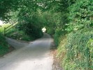 V kulturní krajině Anglie (zde Cornwall) jsou typickým biotopem norníka zarostlé břehy cest (banks – odtud  anglický název norníka bank vole). Foto P. Kotlík