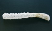 Křemitka pletená (Euplectella aspergillum), zvaná Venušin koš, žije v hloubce několika set metrů. Její kostru tvoří  mřížka z oxidu křemičitého, křemitá vlákna v dolní části upevňují živočicha v bahně. Jde o mořského zástupce  tzv. živočišných hub, tedy kmene  houbovci (Porifera), a to třídy křemití (Hexactinellida), kteří mají šestičetné jehlice se sklovitým povrchem. Foto L. Pavlík