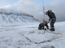 V údolí Bjørndalen jsme studovali schopnost přežívání vláknité řasy  Tribonema minus v zimním období. Foto z archivu Centra polární ekologie Přírodovědecké fakulty Jihočeské univerzity v Českých Budějovicích