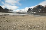 Centrální část ostrova Špicberk  (souostroví Svalbard), Billefjorden,  zátoka Petunia, předpolí ledovce Hørbye. Foto z archivu Centra polární ekologie Přírodovědecké fakulty Jihočeské univerzity v Českých Budějovicích