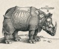 Indický nosorožec na rytině Albrechta Dürera (1515). Z archivu autora