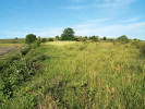 Obnovené pole na starém úhoru zarůstajícím keři. Foto P. Kovář