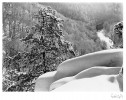 Dyjský kaňon v zimě. Foto B. Prokůpek