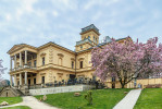 Pohled ze zahrady na Lannovu vilu  v Praze-Bubenči, letos s bohatě rozkvet lou magnolií. Vybudována byla v r. 1872  průmyslovým podnikatelem a sběratelem  uměleckých památek Vojtěchem Lannou.  Foto J. Tománek, SSČ AV ČR