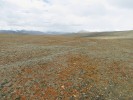 Náhorní plató v nadmořské výšce 5 700–5 900 m mezi vrcholy šesti­tisícovek Chamser Kangri a Chalung. Foto M. Dvorský