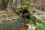 Vody Jedovnického potoka se pak dostávají na povrch ve vývěru nedaleko  jeskyně Býčí skála ve Křtinském  (Josefovském) údolí. Foto H. Skořepa