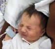 Ukázka testovací procedury a mimické reakce novorozence na čichový stimul. Testovány byly stimuly s různou mírou příjemnosti. Foto J. Boušová
