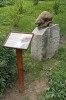 Ondatra pižmová (Ondatra zibethicus) je možná jediným nepůvodním  druhem s pomníkem připomínajícím  její vysazení. Dobříš, zámecký park. Foto M. Anděra