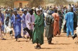 Na afrických tržištích se zvířaty dominují muži. Linguère, Senegal.  Foto V. Černý