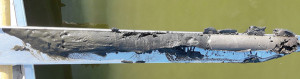 Vzorek bahna odebraný tzv. píchanou sondou. Je vidět velmi aktivní zvodnělá povrchová vrstva s chodbičkami larev pakomárů (vlevo), pod ní ulehlá střední vrstva a úplně dole (vpravo) zcela  nereaktivní šedý jíl. Foto J. Duras