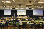 Mezinárodní velrybářská komise se scházela původně každoročně, od r. 2012 zasedá v dvouletých intervalech. Pohled do jednacího sálu ve slovinském Portoroži, kde se v říjnu 2022 uskutečnilo její v pořadí již 68. jednání. Foto J. Plesník
