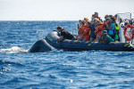Pokud nejsou dodržována pravidla šetrného pozorování kytovců z výletních lodí nebo letadel, stanovená Mezinárodní velrybářskou komisí, může tento typ turistiky negativně ovlivňovat bionomii pozoruhodných mořských obrů. Azorské ostrovy. Foto M. Bobek