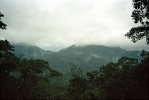 Národní park Tijuca je zřízen  kvůli ochraně tropického deštného lesa, resp. atlantského lesa (mata atlântica), který je závislý na oblačnosti hojně plynoucí od blízkého oceánu. Foto M. Studnička