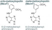 Orto-metoxytopolin a meta-metoxy­topolin jsou aromatické cytokininy,  které se vyskytují přirozeně  a v rostlinách mimo jiné působí proti rozpadu chlorofylu (blíže v textu).