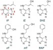 Chemické vzorce základních cytokininových bází: iP – N6-(∆2- izopentenyl)­-adenin, tZ – trans-zeatin, DHZ – dihydro­zeatin, oT – orto-topolin, mT – meta-topolin, BAP – 6-benzylaminopurin. Orig. O. Blahoušek