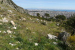 Lokalita mloka Lyciasalamandra antalyana antalyana v blízkosti tureckého města Antalya. Foto D. Koleška