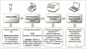 Schéma laboratorního postupu a vyhodnocení dat při identifikaci topolů. Fragmentační analýza – metoda genetické analýzy, která zahrnuje soubor technik, při nichž jsou fragmenty DNA fluorescenčně označeny, separovány kapilární elektroforézou a jejich velikost je určena porovnáním s velikostním standardem. Fluorochrom – molekula schopná absorbovat světlo určité vlnové délky a poté světlo emitovat o delší vlnové délce. Tato fluorescenční vlastnost je zásadní v biologickém zobrazování, kde umožňuje např. detekovat molekuly. Orig. K. Podrábská
