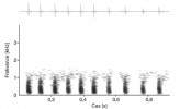 Spektrogram (dole) a oscilogram (nahoře) dunění (boom) nahraného od bělozubky hnědé. Tento zvuk můžeme téměř soustavně slyšet, když bělozubky prozkoumávají prostředí. Zatím nevíme, jakým způsobem zvuk vzniká a zda má pro ně nějaký význam. Orig. I. Schneiderová
