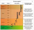 Stratigrafické rozšíření rodů  sépiidů (čeledi sépiovití – Sepiidae) a morfologické změny schránek v čase.  Podle: M. Košťák a kol. (2013)