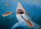 Rekonstrukce egyptosépií vychází  ze stavby jejich schránek. Predátory v jejich přirozeném biotopu byli dravé ryby a žraloci. Žralok rodu Otodus,  jehož zuby patří k hojným paleocenním fosiliím. Orig. P. Modlitba