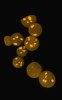Mnohojaderné spory ambróziové houby Geosmithia eupagioceri. Jádra jsou značená fluorescenční barvou propidium jodidem a skenována konfokálním mikroskopem. Foto T. Veselská
