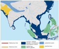 Schematická mapa jižní a jiho­východní Asie v obdobích kulminujících pleistocenních zalednění, provázených maximálním poklesem hladiny oceánu.  Důležitý geografický předěl představuje Wallaceova linie, oddělující orientální oblast od tzv. Wallacey, která se vyznačuje směsicí asijských a australských druhů. Za tuto hranici nikdy nepronikl žádný druh velkých koček. V místech jejího průběhu je oceán natolik hluboký,  že se protilehlé souše nikdy nepropojily pevninskými mosty. Upraveno podle různých zdrojů. Orig. M. Chumchalová