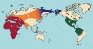 Mapa postupného šíření druhového komplexu lva v průběhu pleistocénu.  1 – časný střední pleistocén (počátek mindelského, resp. elsterského glaciálu), 2 – období ca před 300 tisíci let (Riss, Saal), 3 – před 300–120 tisíci let,  4 – poslední glaciál (před 70–10 tisíci let). Upraveno podle různých zdrojů. Orig. M. Chumchalová