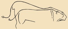 Paleolitická kresba lvího páru. V popředí samice, vzadu mohutnější samec. Na jeho siluetě je jasně patrný šourek, nikoli však hříva. Upraveno podle různých zdrojů. Orig. M. Chumchalová