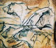 Kresba jeskynních lvů z francouzské Chauvetovy jeskyně z období svrchního paleolitu (kultura aurignacien), stáří kresby se odhaduje na 30–32 tisíc let. Z archivu autora