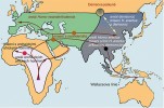 Cesta anatomicky moderního člověka (AMČ) ze subsaharské Afriky a mísení s archaickými homininy. Hnědě jsou označeny pravděpodobné trasy našich dávných předků z Afriky a kruhy značí pravděpodobná místa hybridizace. S neandertálci (Homo neanderthalensis) se AMČ mísil sice na Předním východě, pozdějšími migracemi však byla tato  příměs zanesena nejen po celé Arábii,  ale v menší míře zpětně i do Afriky.  Upraveno podle: R. Veeramah a M. Hammer (2014). Orig. M. Chumchalová