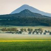 Pohled na Milešovku přes vrch Ostrý v Českém středohoří ukazuje polootevřenou starosídelní krajinu, která se zde udržela po tisíce let. Foto K. Horáček