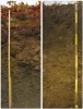 Vlevo půdní profil humózní kambizemě na silně skeletovitých svahovinách pod kapradinovou nivou (Daphno-Dryopteridetum) na Finckeho stráni. Vpravo půdní sonda pod květnatou krátkostébelnou nivou (Poo-Deschamsietum) v Cimrmanově zahrádce v 1330 m n. m. Tato půda má nápadně mocný humusový horizont (do cca 40 cm hloubky) s formou humusu a dalšími vlastnostmi (včetně žížal) jako na hnojené zahrádce v teplé pahorkatině. Foto L. Bureš