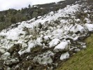 Až dvoumetrové bloky, vrstva  sněhu mocná 6 m, množství stržené půdy a humusu na lavinové dráze  velké základové laviny, která vyjela z Grabowského a Wimmerova žlebu  na severovýchodní dráze  9. května 2002 (fotografováno den  po pádu laviny). Foto Z. Burešová