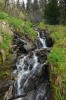 Hlavní vodotečí Velké kotliny v Jeseníkách je Moravice, která na nejvyšším úseku svého toku – mezi pramenem na Kunzově stráni (v nadmořské výšce 1 325 m) a vodopádem na Beckeho skalách (1 190 m n. m.) – vytváří atraktivní kaskády. Foto L. Bureš