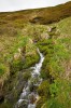 Moravice pramení na severo­východním okraji karu v nadmořské  výšce 1 325 m. Foto L. Bureš