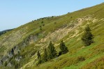 Celý horní stupeň Velké kotliny je nyní porostlý téměř souvislým borůvčím (olivově zelené plochy nahoře). Foto L. Bureš